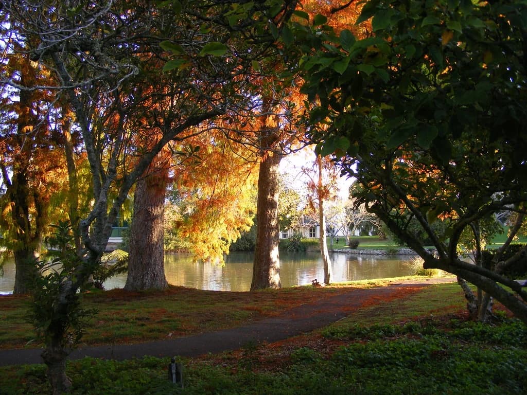 University of Waikato